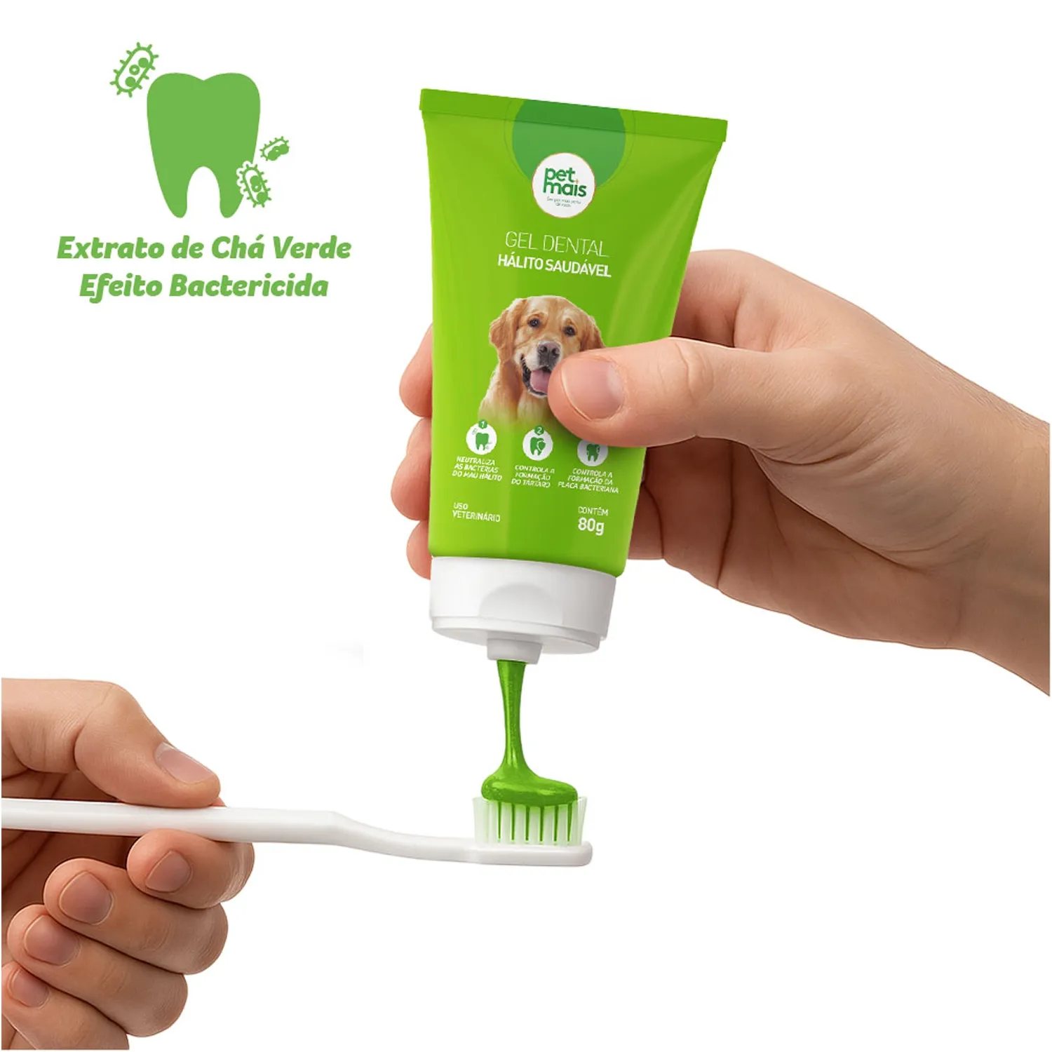 Efeito Bactericida